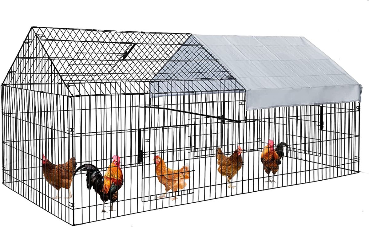 PawGiant Chicken Run Pen