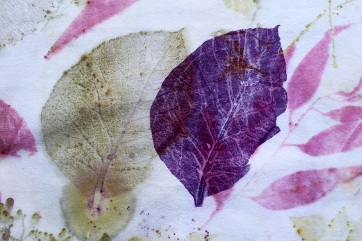 Eco-printed leaves on cloth