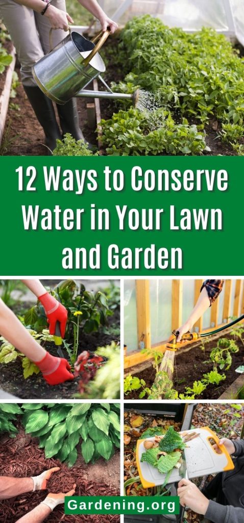 12 Ways to Conserve Water in Your Lawn and Garden pinterest image.