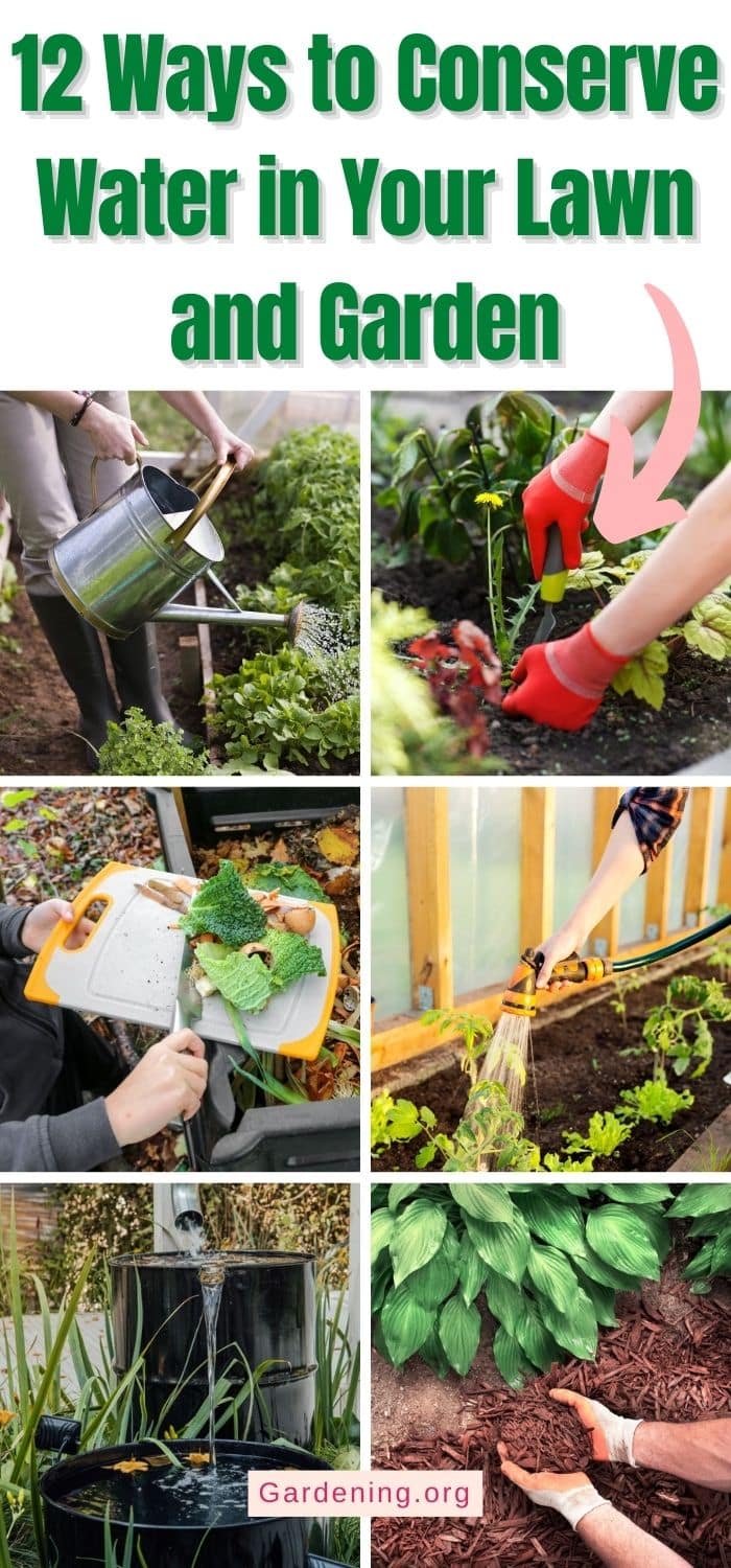 12 Ways to Conserve Water in Your Lawn and Garden - Gardening