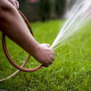 A man with a gardening hose watering a green lawn.