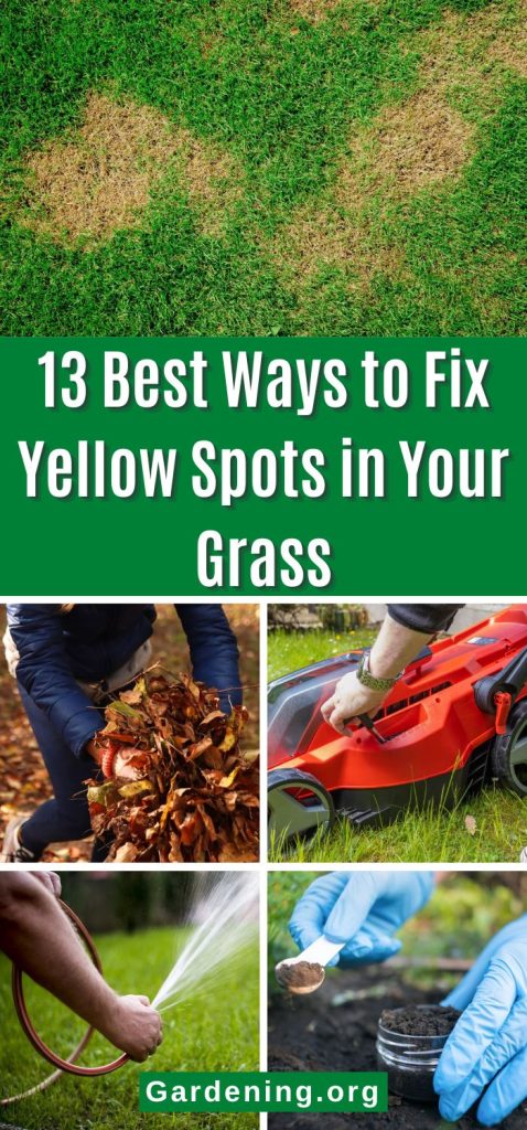 13 Best Ways to Fix Yellow Spots in Your Grass pinterest image.