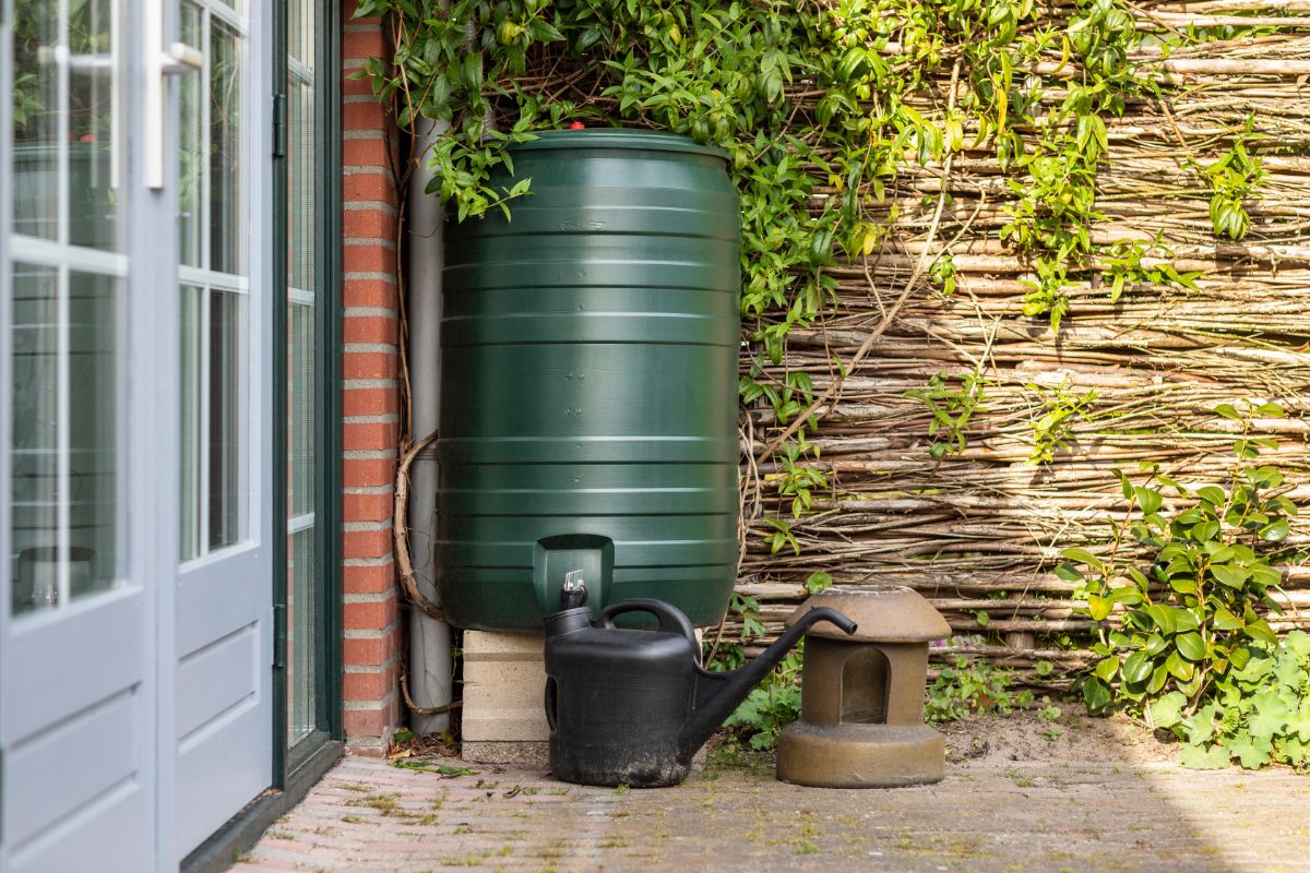 A rainwater collection barrel on the side of a house