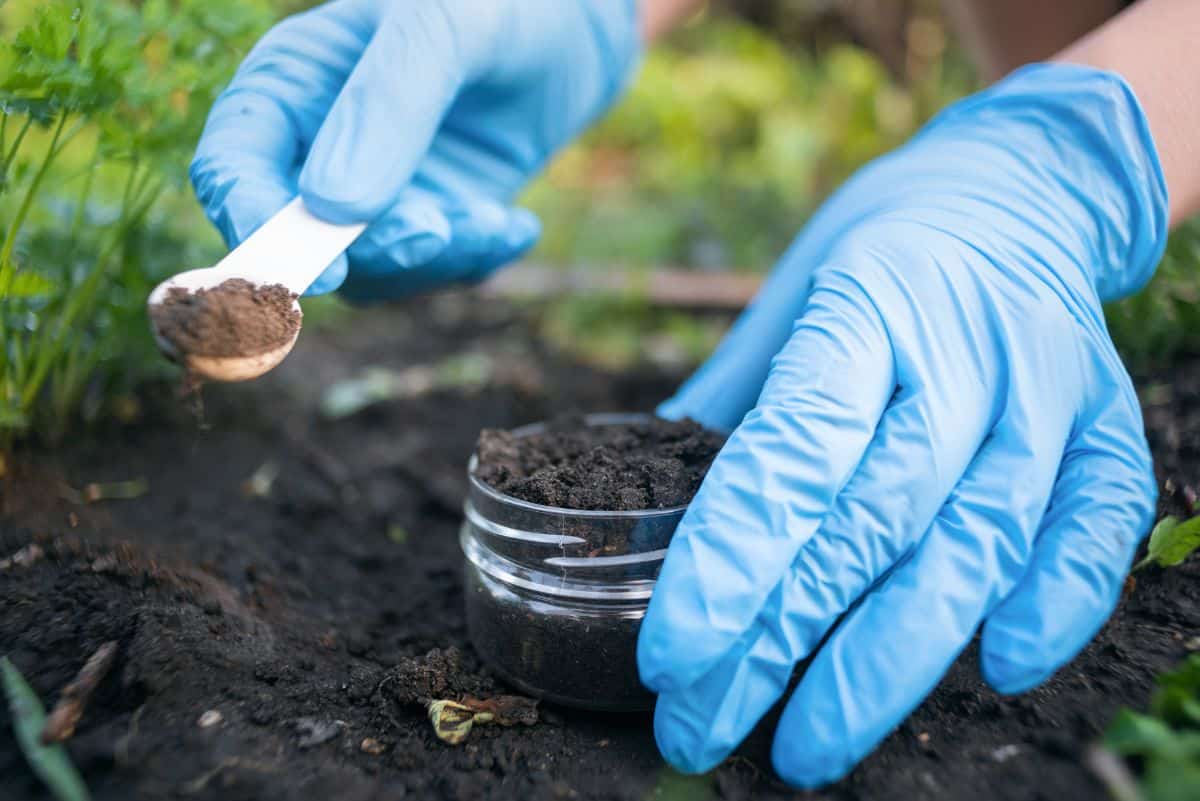 A person collects samples of soil for testing