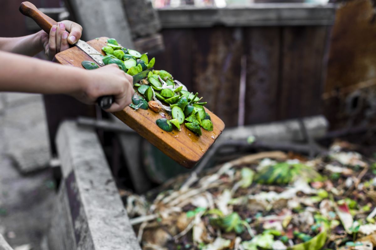 A cook scrapes scraps into a compost bin