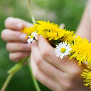 A girl making a dandelion wreath.