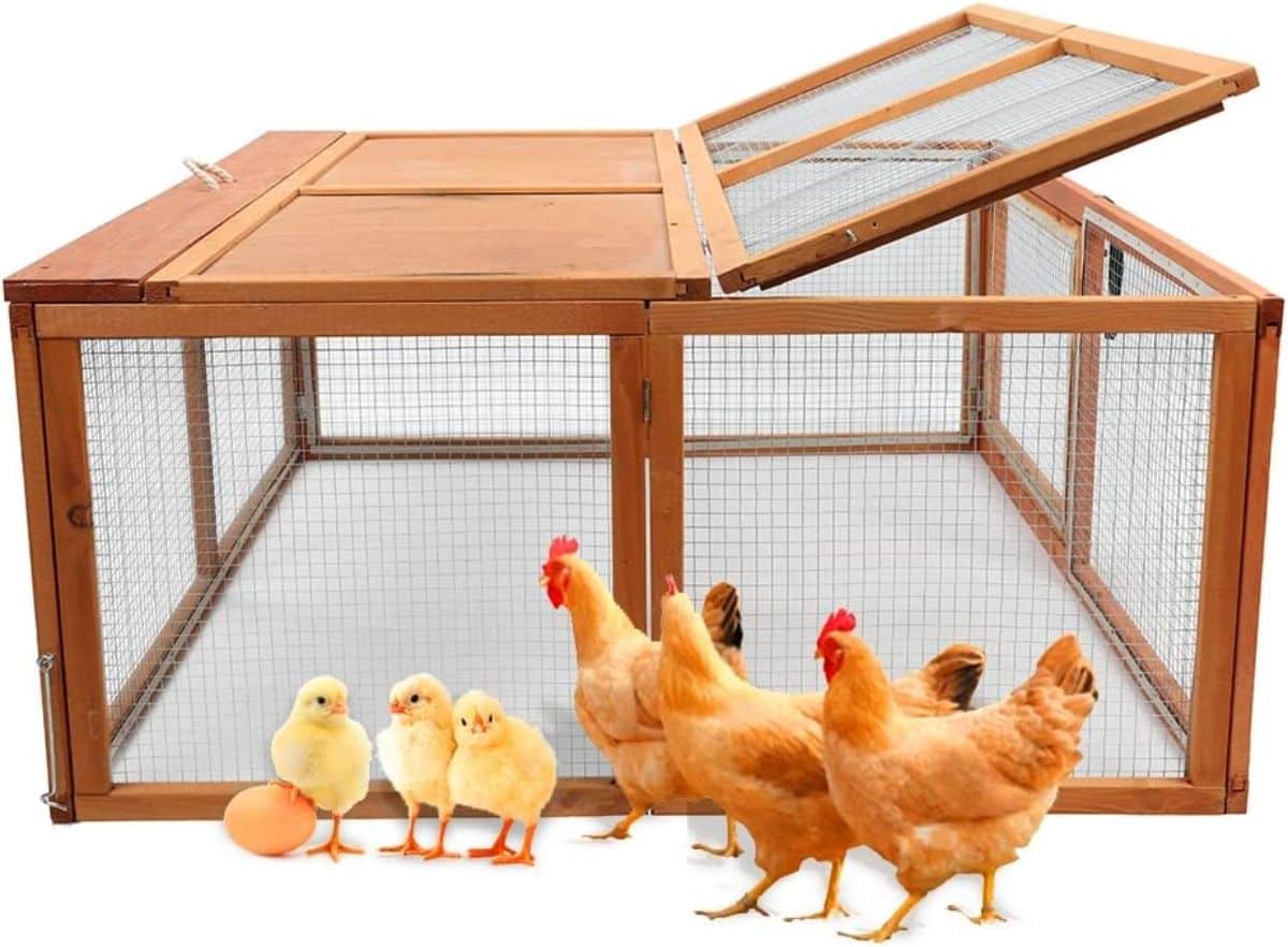 Magshion Wooden Chicken Coop