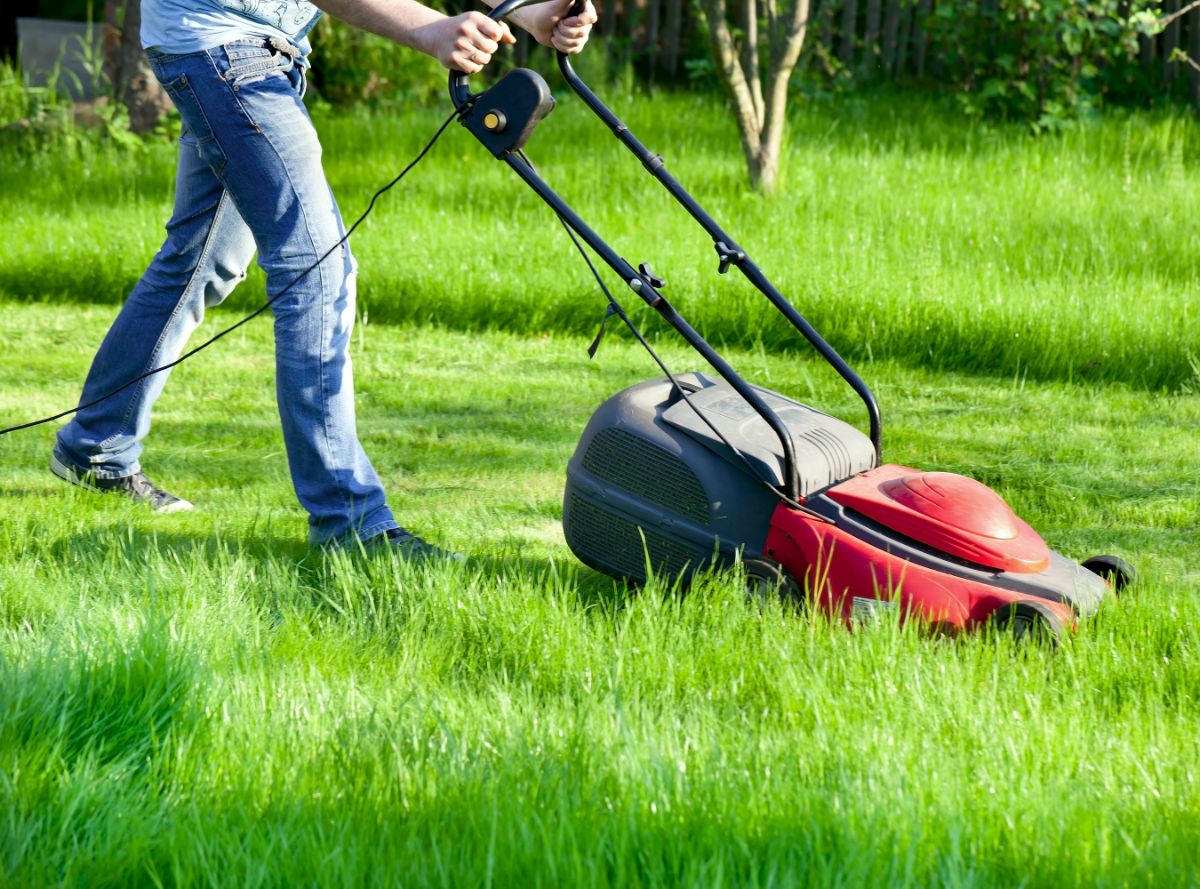 Grass being mowed mid-morning