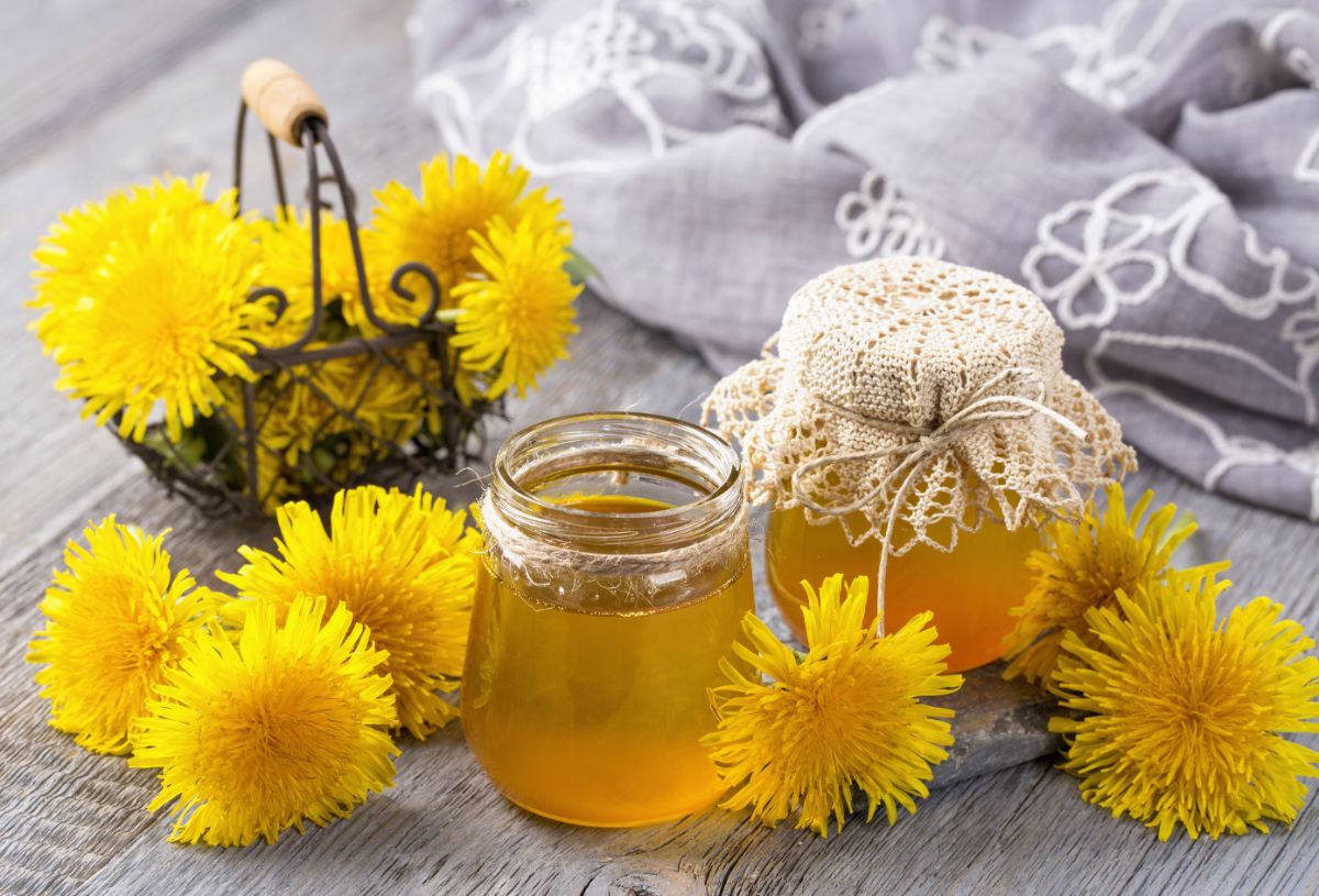Dandelion flowers made into jelly
