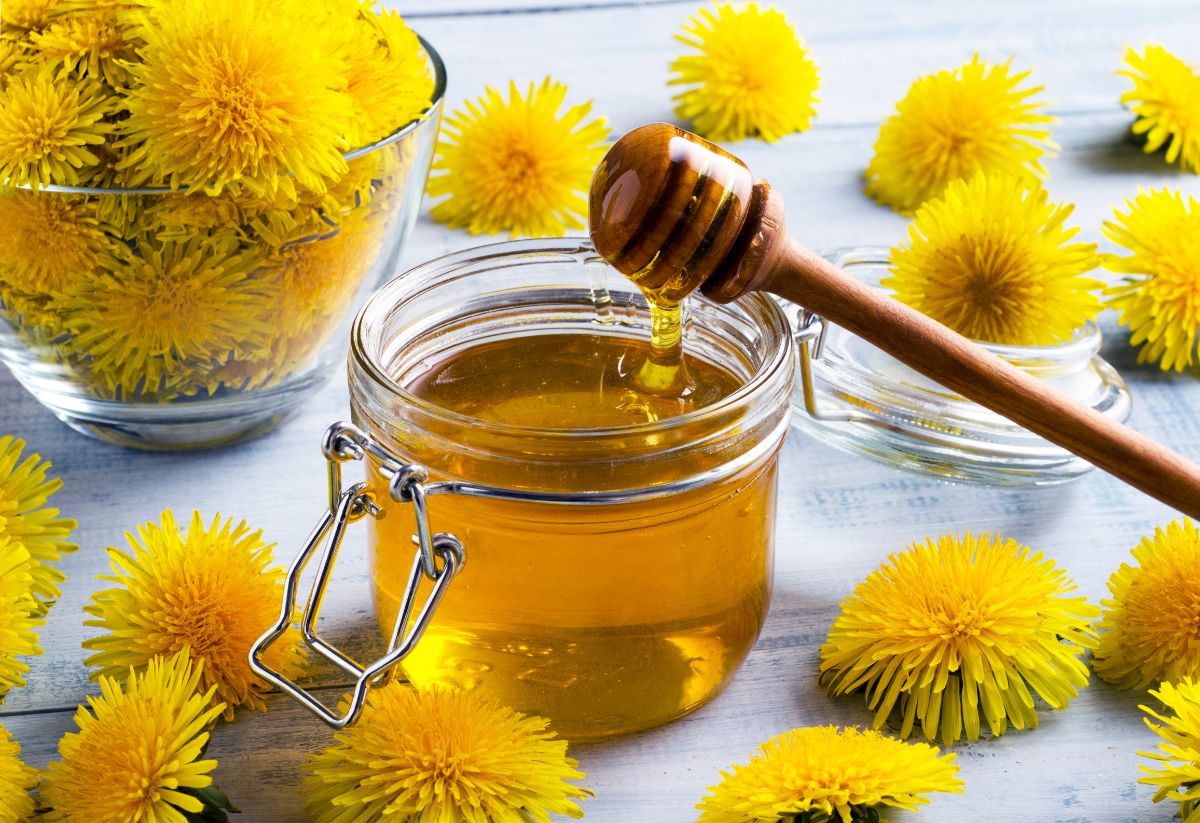 Dandelion simple syrup