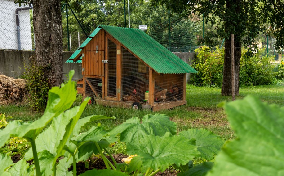 Wheels on a chicken tractor