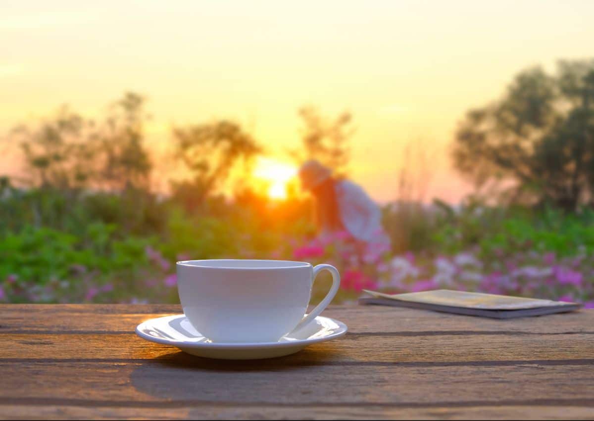 The sun gently rising behind a cup of morning tea