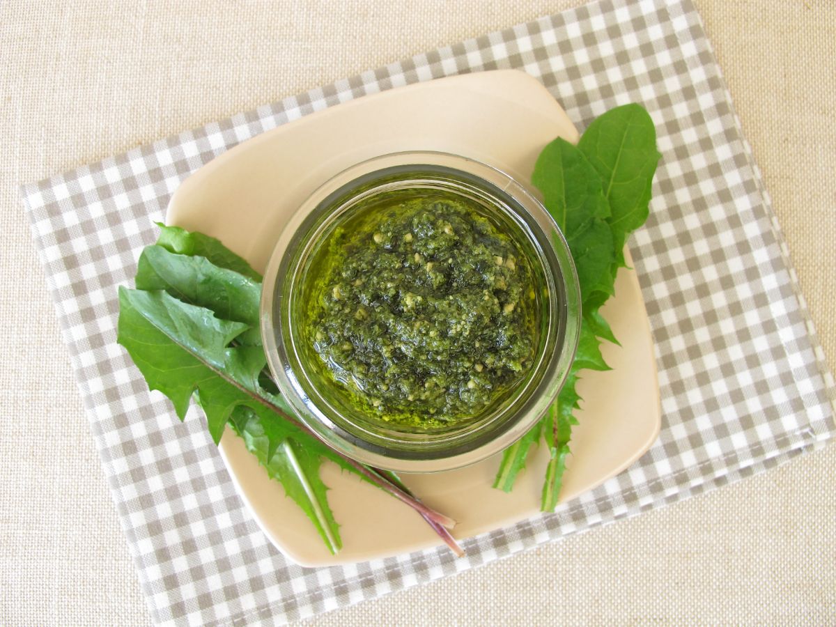 Pesto made from dandelion leaves