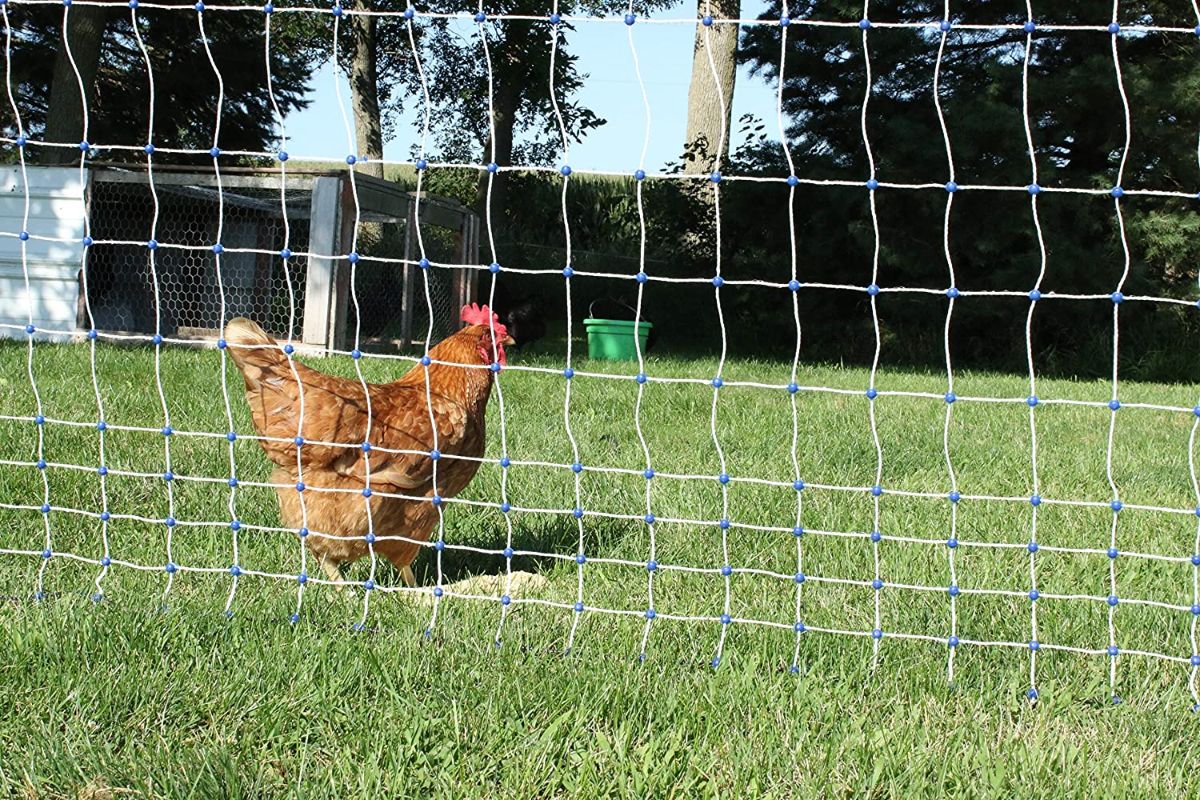 Starkline Electric Poultry Netting Kit