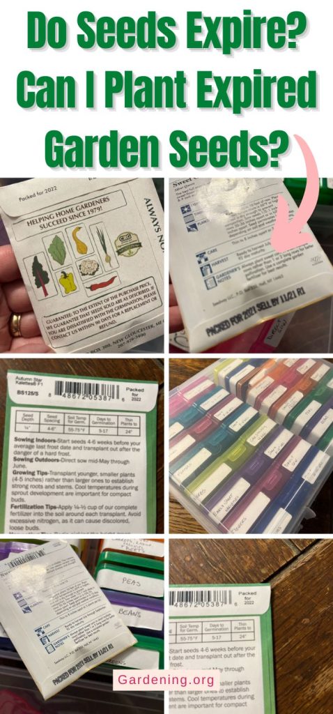 Do Seeds Expire? Can I Plant Expired Garden Seeds? pinterest image.