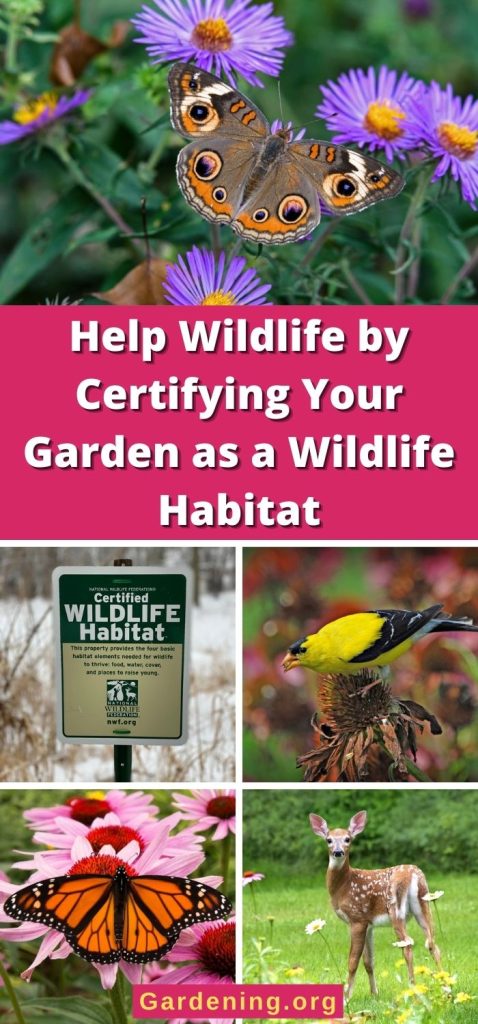 Help Wildlife by Certifying Your Garden as a Wildlife Habitat pinterest image.