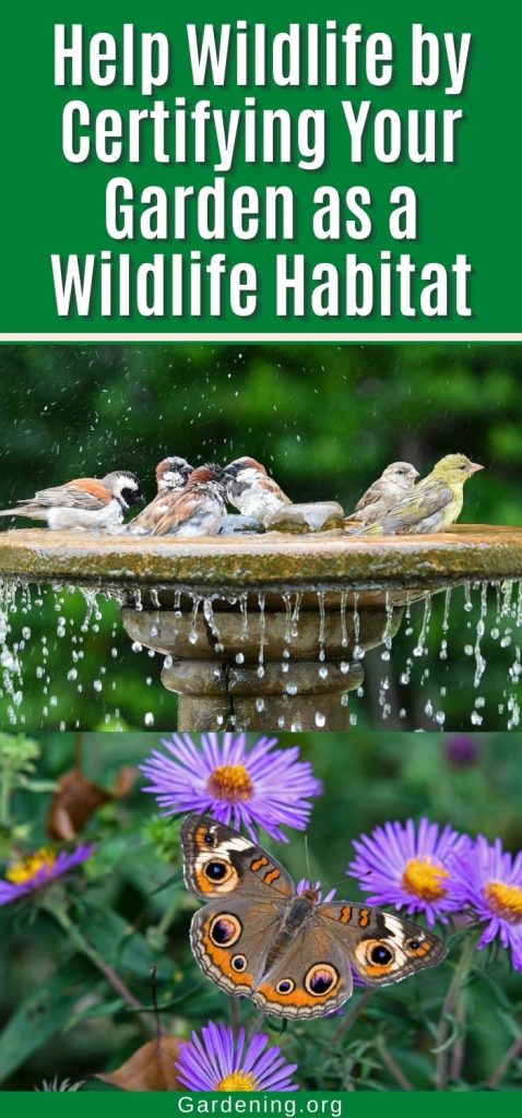 Help Wildlife by Certifying Your Garden as a Wildlife Habitat pinterest image.