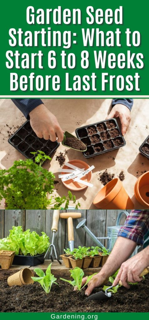 Garden Seed Starting: What to Start 6 to 8 Weeks Before Last Frost pinterest image.
