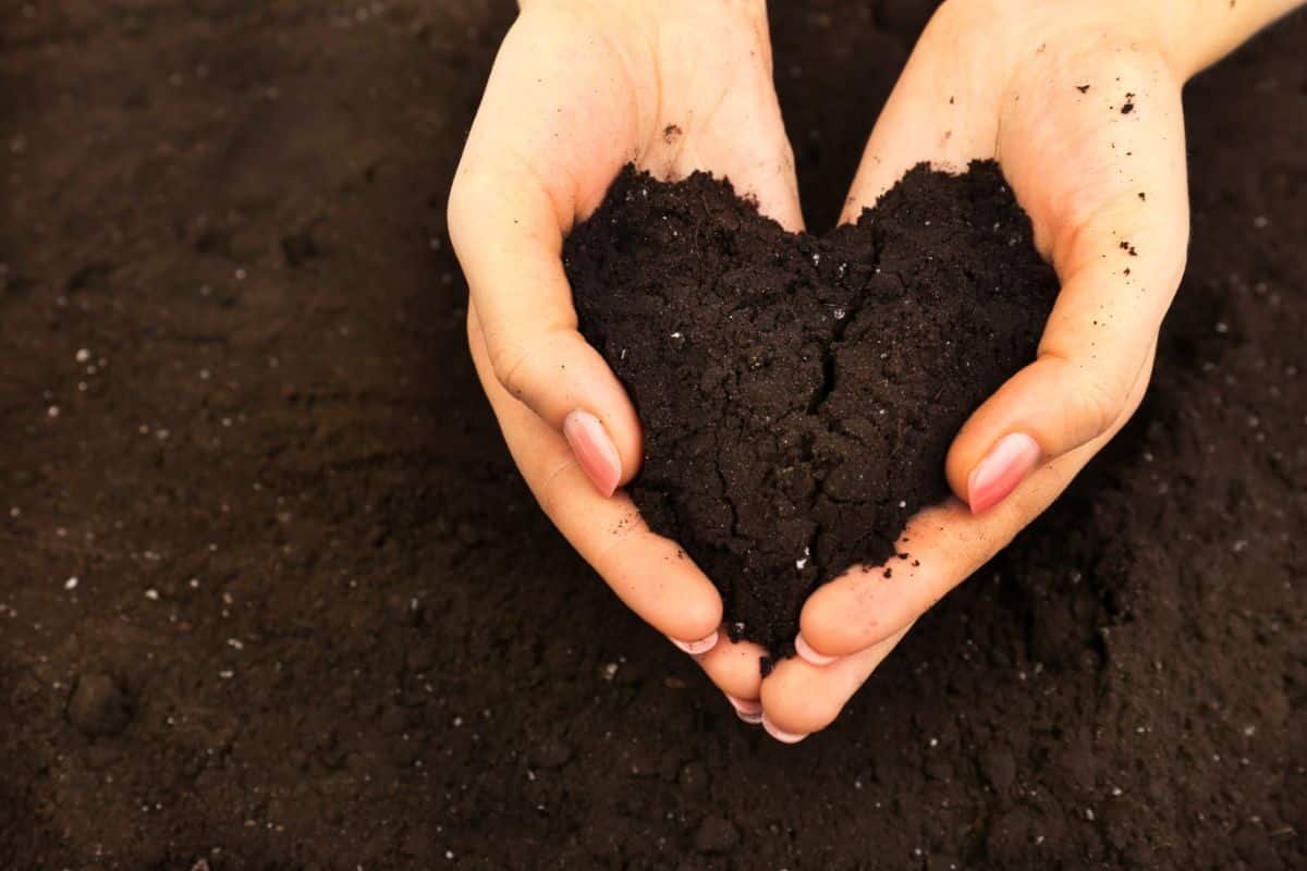 How do you know when soil is right for planting? What does “workable” mean?