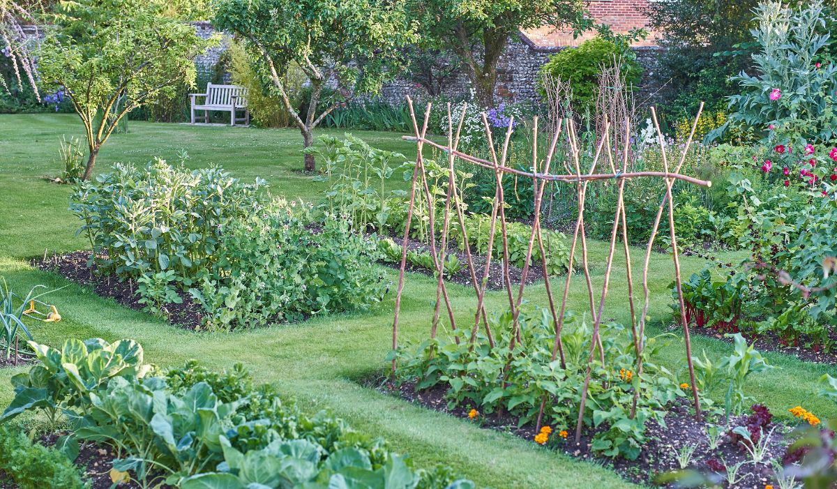 In ground garden beds are bordered by mowed grasses