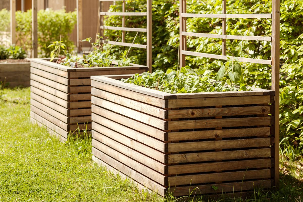 High raised beds make gardening less stressful on the body