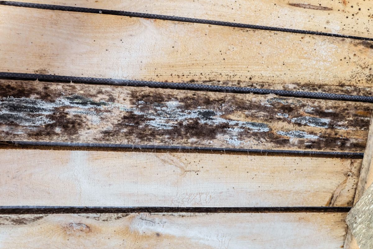 The wood on a raised bed shows signs of decay
