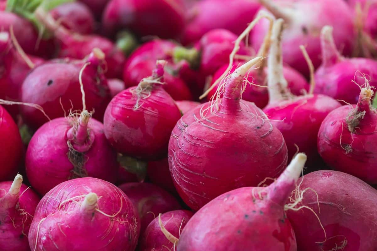 Radishes prepped for freezing