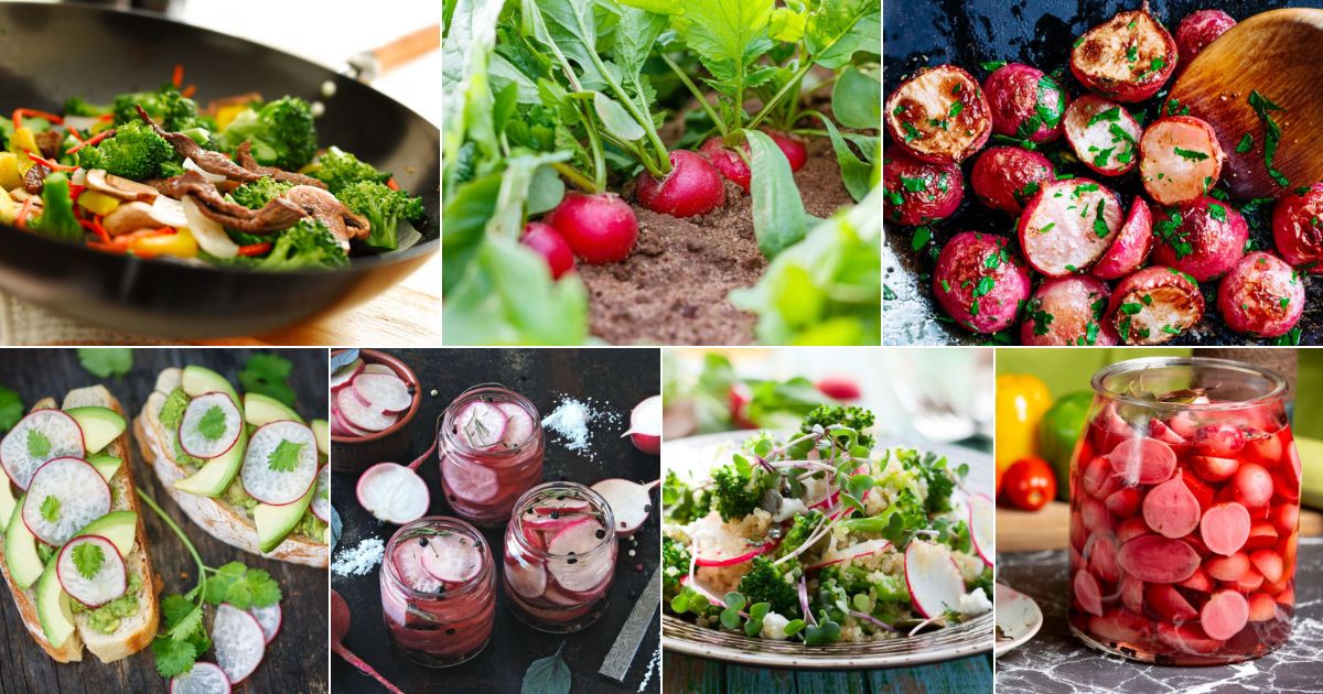 Can You Eat Too Many Radishes