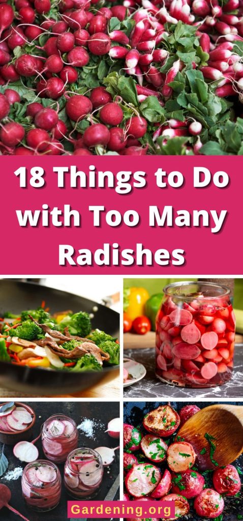18 Things to Do with Too Many Radishes pinterest image.