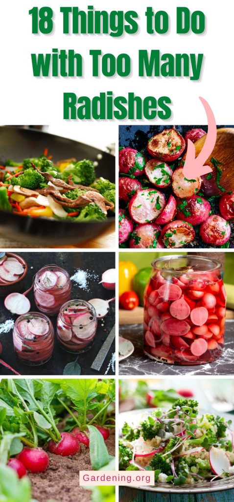 18 Things to Do with Too Many Radishes pinterest image.