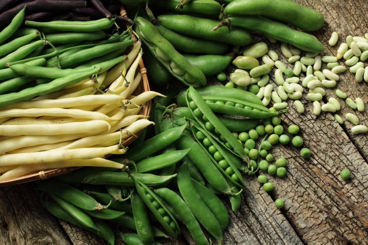 Legume family members peas and beans