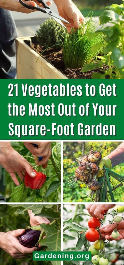 21 Vegetables to Get the Most Out of Your Square-Foot Garden pinterest image.