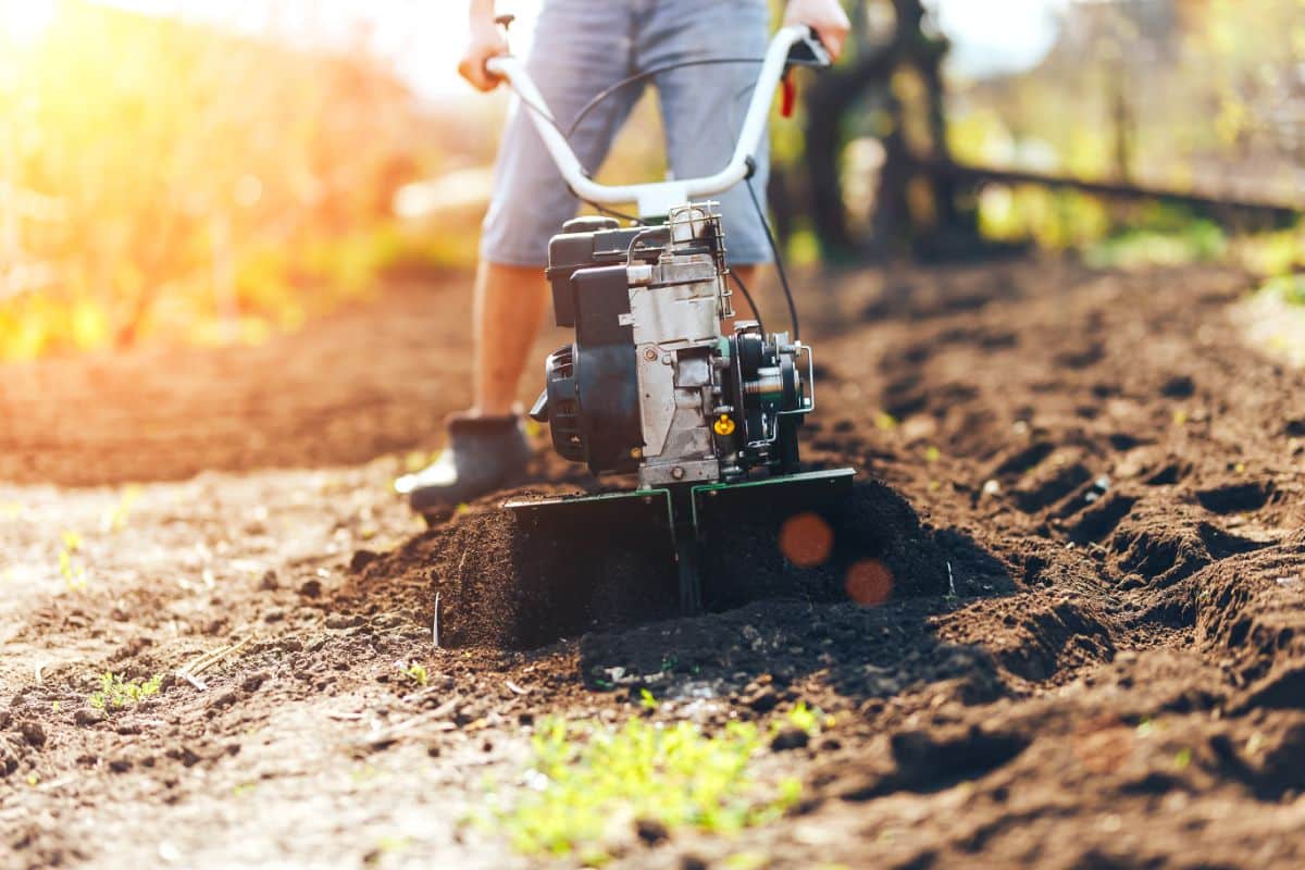 A gardener tills in soil amendments instead of rotating crops