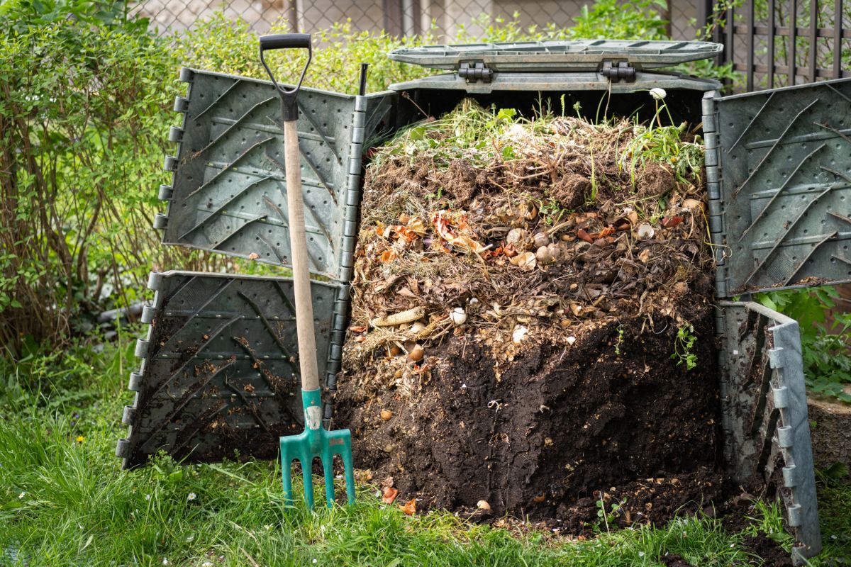 A gardener opens a compost bin to use compost for amending acidic soil