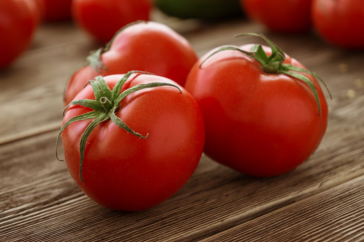Round Rutgers tomatoes were developed with saucing and soup making in mind.