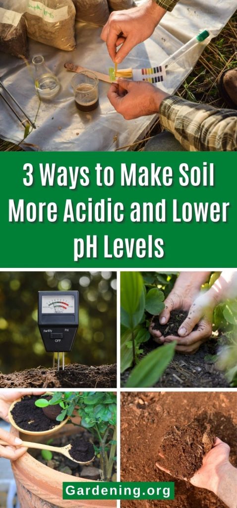 3 Ways to Make Soil More Acidic and Lower pH Levels pinterest image.