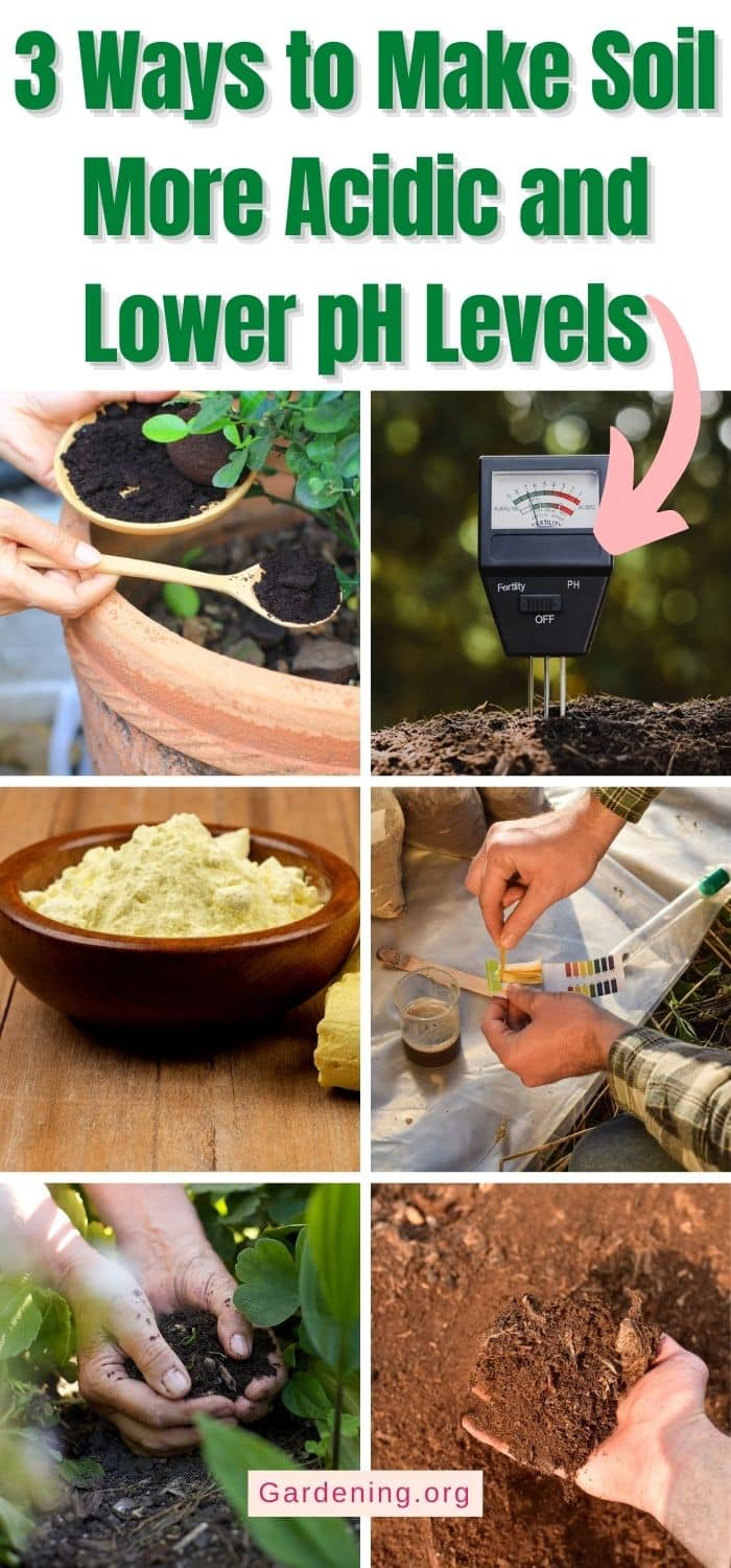 3 Ways to Make Soil More Acidic and Lower pH Levels - Gardening