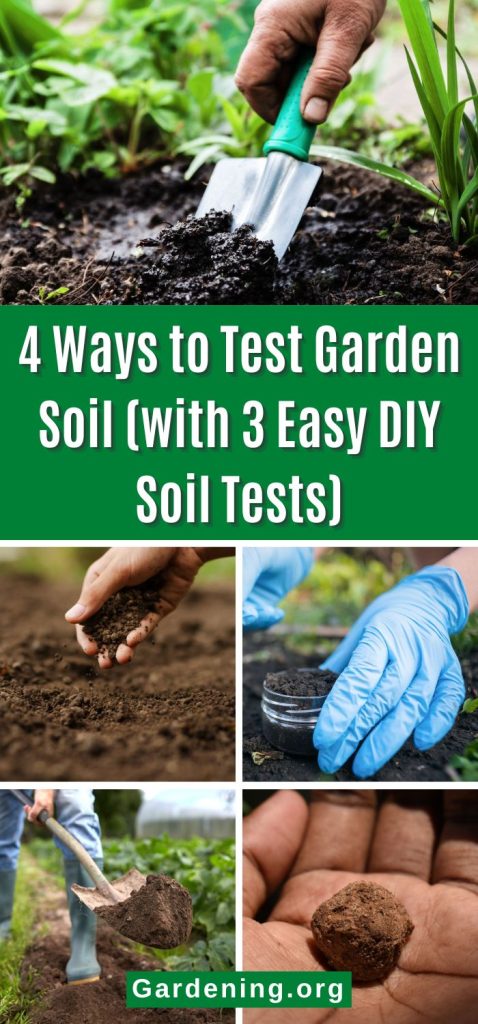 4 Ways to Test Garden Soil (with 3 Easy DIY Soil Tests) pinterest image.