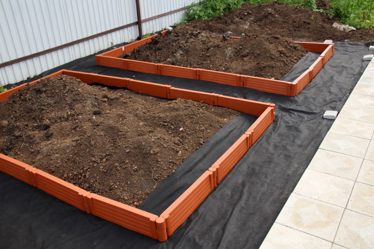 Raised beds are filled with lighter soil