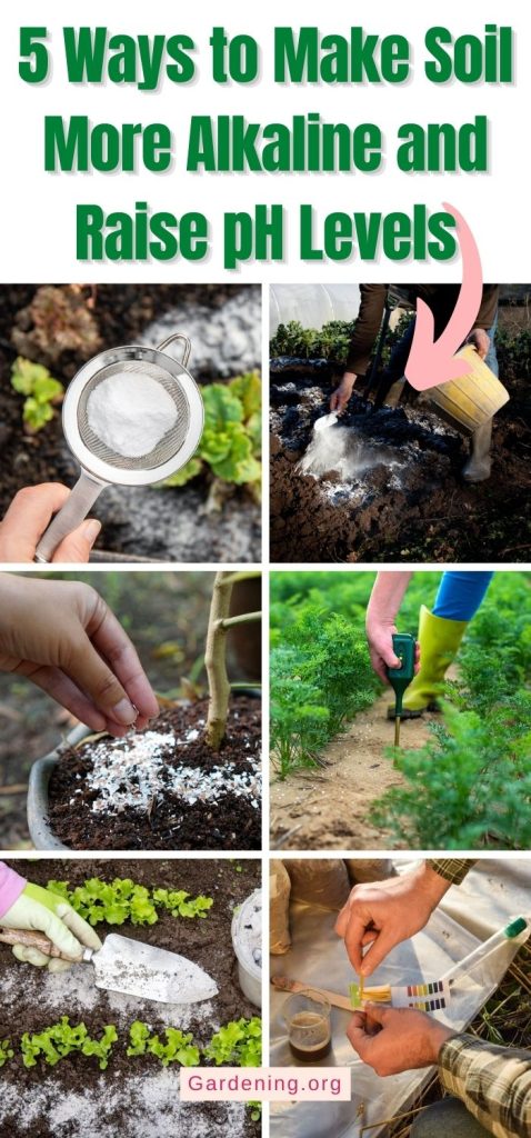 5 Ways to Make Soil More Alkaline and Raise pH Levels pinterest image.
