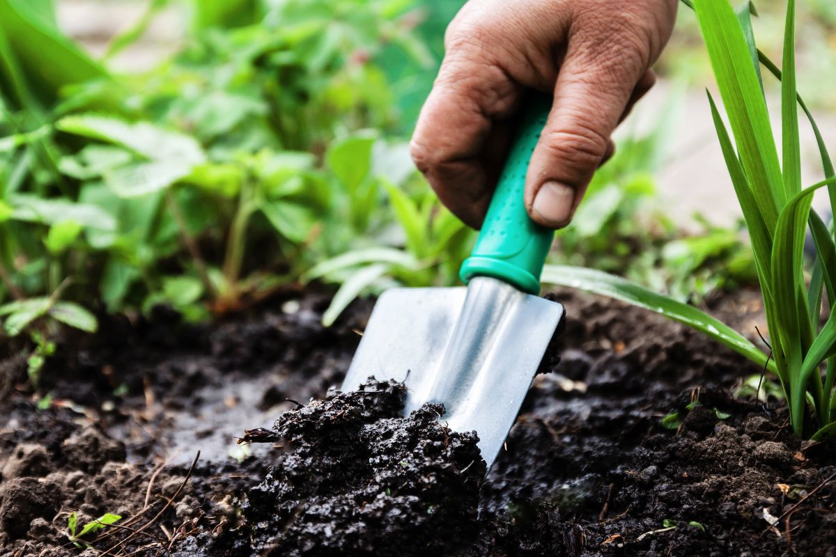 DIY home soil test kits are good for testing specific areas of your yard or garden