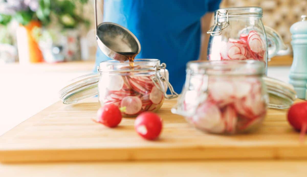 Quick pickled refrigerator radish pickles