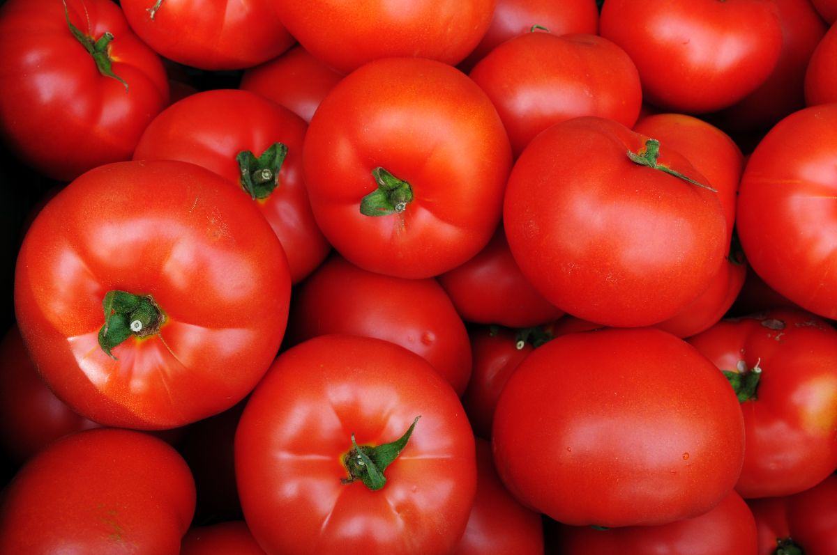 A box full of all-purpose red tomatoes, Gills All Purpose