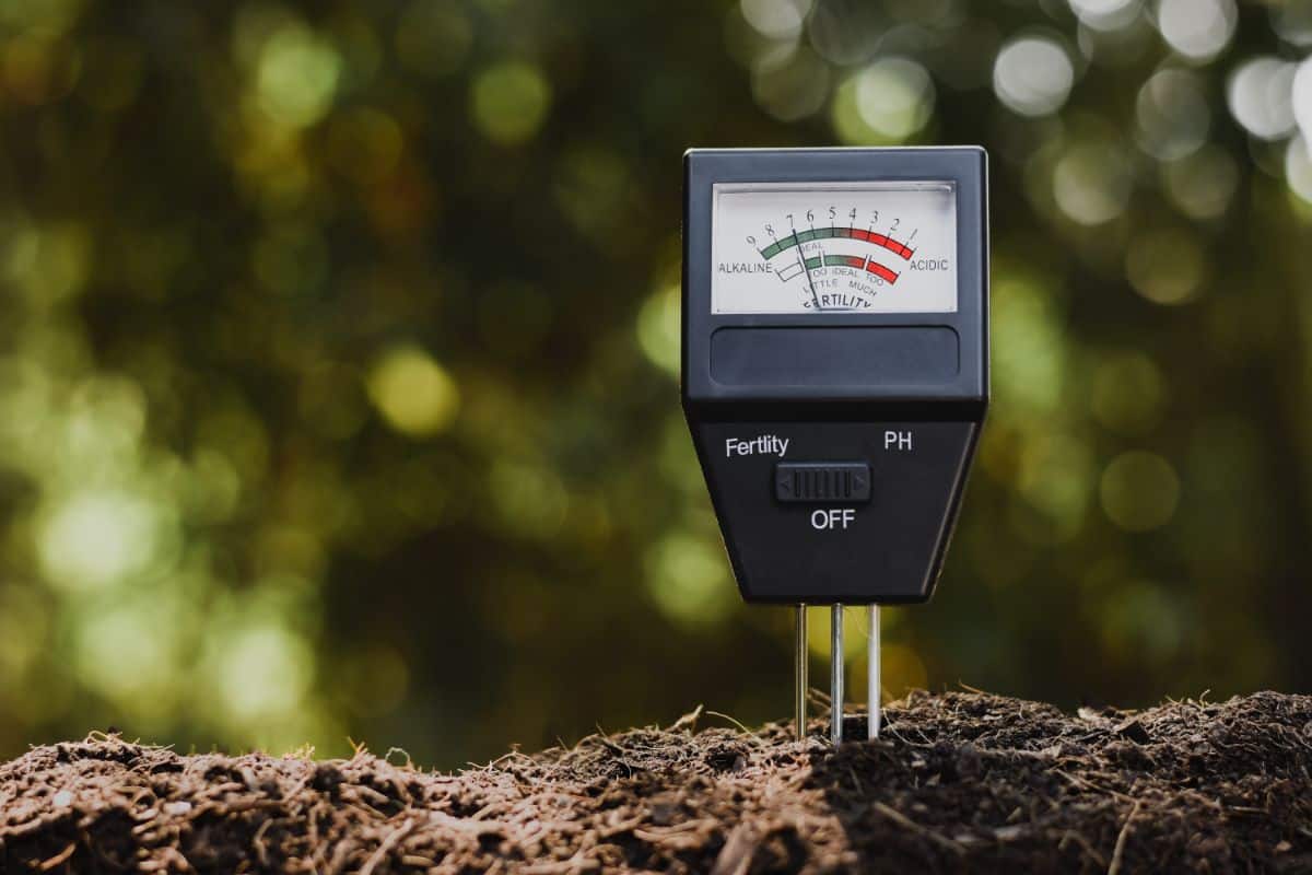 A probe-style pH meter tests soil pH