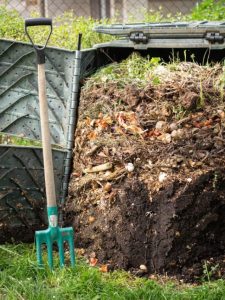 cropped-3-backyard-compost.jpg