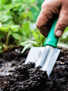 cropped-7-digging-soil.jpg