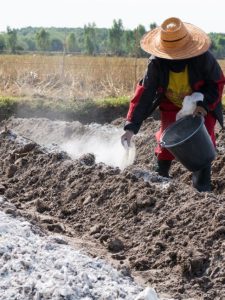 cropped-9-lime-soil.jpg