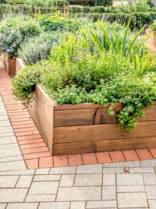 cropped-9-raised-bed-garden.jpg