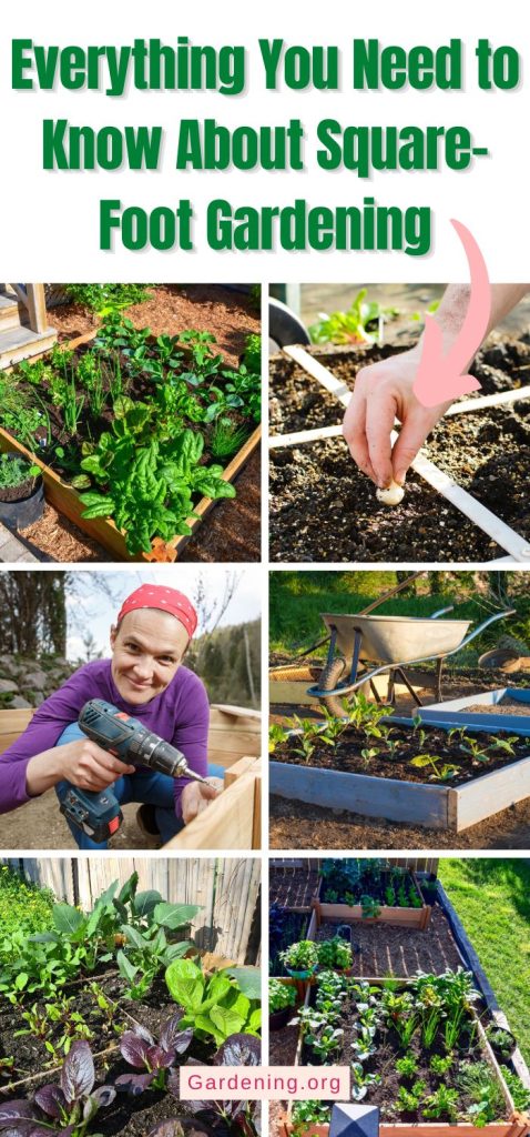 Everything You Need to Know About Square-Foot Gardening pinterest image.
