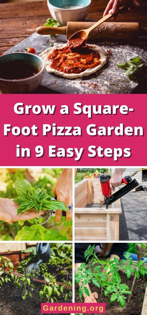 Grow a Square-Foot Pizza Garden in 9 Easy Steps pinterest image.